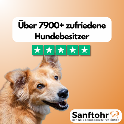 Sanftohr | Hundegehörschutz